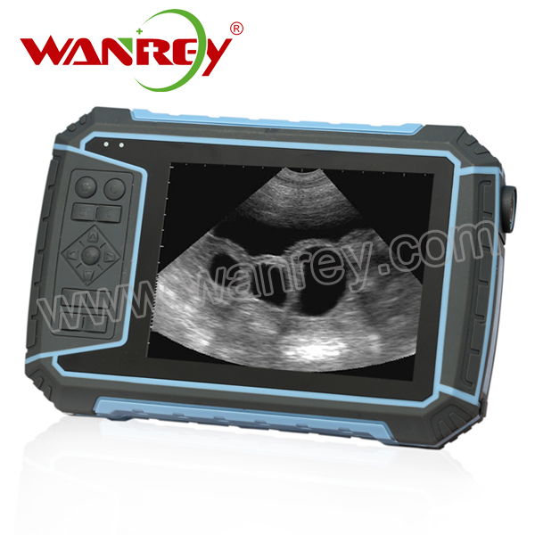 Waterproof Vet Ultrasound Scanner